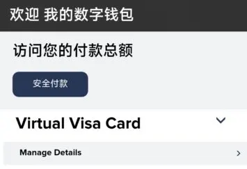Visa 预付卡