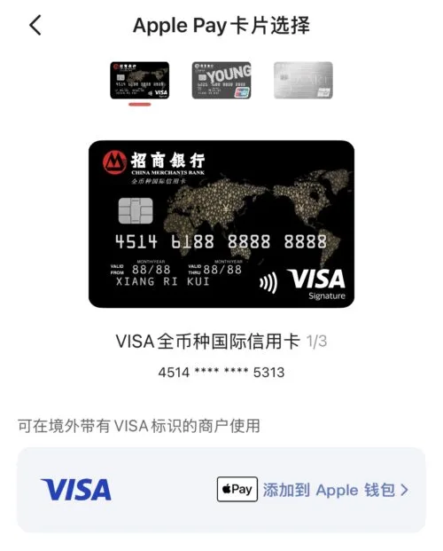 选择 Visa 卡添加到 Apple Pay