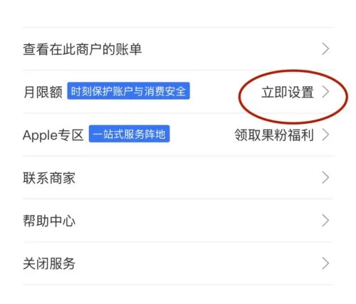 支付宝设置 Apple Store 消费限额